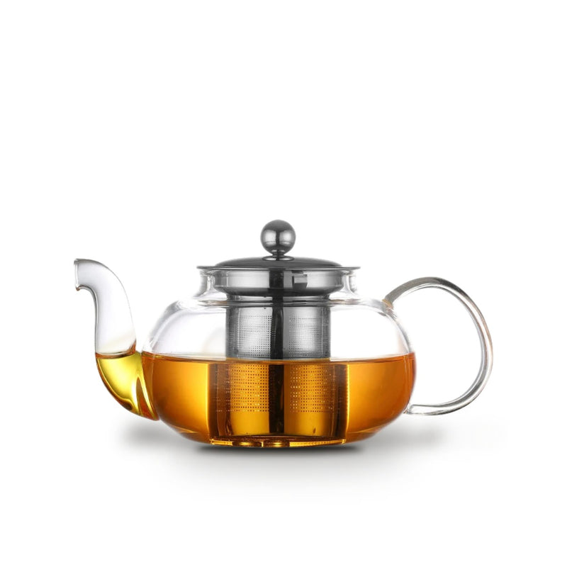 Théière en Verre Borosilicate avec Infuseur Inox
